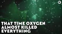 Image result for how long did it take for the oxidation event to run its course?