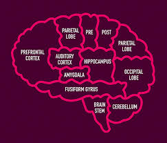 Brain tumors can bring about personality changes in the patient, which puts extra burden on the caregiver, who must cope with unexpected changes in his or her loved one. Diagnosis Brain Tumors Henry Ford Health System Detroit Mi