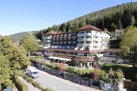 Pénétrer l'essence des choses : Foret Noire Vacances De Randonnee Enztalhotel 4 Enzklosterle