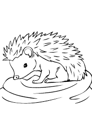 Coloring page outline of hedgehog. Coloring Pages Baby Hedgehog Coloring Page