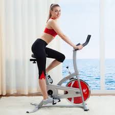 Pros of a stationary bike. Exercise Bike Reviews For 2020 Stationary Exercise Bikes Compared