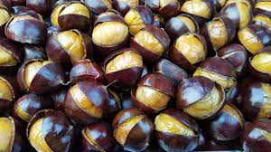 Gravida Pode Comer Castanhas