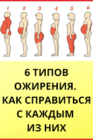 6 типов ожирения и как справиться с каждым из них Pin Na Doske Ubrat Bolshoj Zhivot