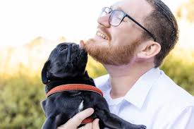 December means Christmas pugs 🎅🏻🎄 #puglif3 #pug #cutepug  #adorableanimals #christmas #blackpug #dogsofinstagram #pugsofinstagram  #baahumpug