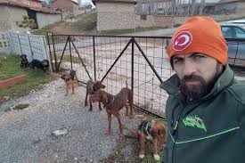 Kutahya Da Hayvan Katliami 10 Kopek Zehirlenerek Olduruldu Evrensel