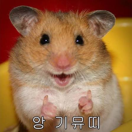 원조 앙 기모띠 : 네이버 블로그