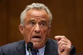 Ellen G. White's Plagiarism Controversy in SDA Research