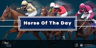Del mar drama's curtain rises in race 4 Today S Santa Anita Racing Tips Predictions Odds