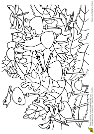 Cache Cache Feuilles Libellules Coloriage Cahier De Coloriage Mandala A Colorier