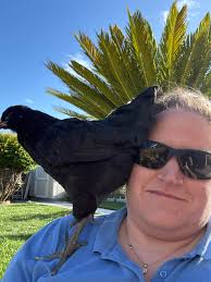 what's wrong with her eye😭😭 she's one of my favorites