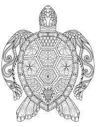 Some species of sharks are dangerous to humans, such as the white shark or tiger shark. Sea Creatures Coloring Pages For Adults