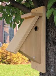 Before you begin to make your homemade birdhouses for kids, here are a few things to keep in mind. 25 Free Bird House Plans To Welcome Feathered Friends To Your Garden Insteading
