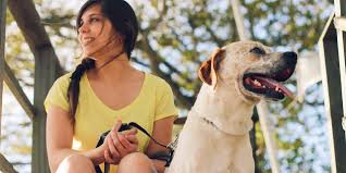 The dog days of summer describes the most oppressive period of summer, between july 3rd and august 11th each year. Dog Days Of Summer At Catholic Health Catholic Health Today