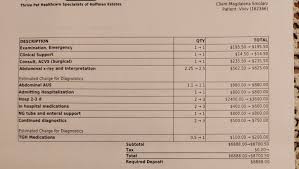 Fundraiser for Magdalena Smolarz by Kathi McDonell : Vivi's Recovery:  Surgery and Care