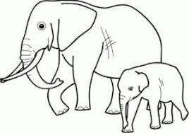 Tersedia beberapa gambar gajah yang bisa digunakan sebagai media mewarnai gambar. Kumpulan Gambar Mewarnai Terbaru Yang Mudah Untuk Anak Anak Fokussatu Com Menggambar Gajah Kartun Warna
