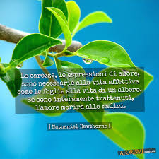 Immagine in miniatura