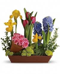 Send roses, carnations, lilies for all occasions like birthdays the redding collection the best flower delivery to redding is done by flora2000 from anywhere in the world. Spring Favorites In Redding Ca Mallery S Flowers Gifts