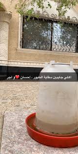 اختتمت مدرسة هاني نعيم الثانوية الزراعية بمديرية التربية و التعليم في شمال غزة، و بالتعاون مع الوكالة البلجيكية للتنمية، دورة تدريبية بعنوان تربية الأرانب و الطيور. Ø¹Ù„ÙŠ Ø§Ù„ØºÙÙŠÙ„ÙŠ On Twitter Ø£Ù‡Ù„ÙŠ Ø¬Ø§ÙŠØ¨ÙŠÙ† Ø³Ù‚Ø§ÙŠØ© Ø§Ù„Ø·ÙŠÙˆØ± Ø§Ù„Ù„Ù‡ ÙŠØ¬Ø¹Ù„Ù‡Ø§ Ø£Ø¬Ø± Ù…Ø¶Ø§Ø¹Ù ÙŠØ§ Ù…ÙŠÙ…ØªÙŠ Ø¥Ø­Ø³Ø§Ù† Ùˆ Ø£Ø¬Ø±