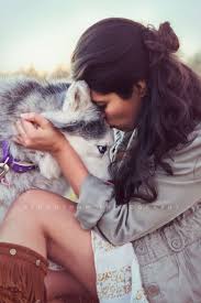 Huskey Dog Session Pet Family Photography Dog Photography Family Dog Photoshoot Animal Photoshoot