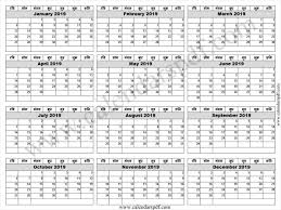 2019 Calendar Hindi 2019 Calendar Calendar Yearly Calendar Template
