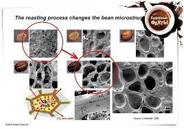 Cafe Kafee Kofe Kahvi Coffee Kava Kaffee Coffee Beans Coffee Roasting Espresso Coffee