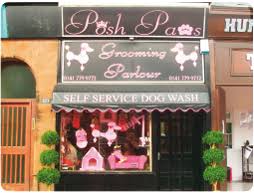 Servicing clearfield, syracuse and layton. Contact Us Posh Paws Designer Dog Shop Glasgow Grooming Shop Dog Grooming Shop Pet Grooming Business