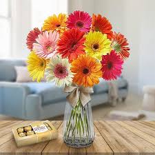 Image result for Gerbera
