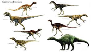 Dinosaurs Images Carnivorous Dinosaurs Hd Wallpaper And Background Photos 39775254 Prehistoric Animals Dinosaur Dinosaur Images