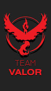 Pin De Sara D Em All Things Pokemon Pokemon Pokemon Go Coisas De Pokemon