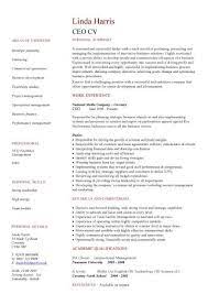 An absolute ceo resume must cover the applicant's educational qualifications, achievements, projects dealt with till date, present or past. Ceo Cv Sample Setting Strategy And Vision Policy Making