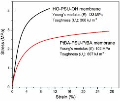 Synthesis Of Highly Porous Poly Tert Butyl Acrylate B