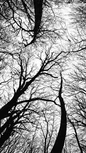 Black And White Sea Google Zoeken Arkaplan Tasarimlari Gece Gokyuzu Goruntuleri Fotografcilik