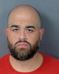 HCSO Arrests Public Records Results