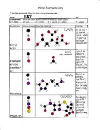 Macromolecules Chart Worksheets Teaching Resources Tpt