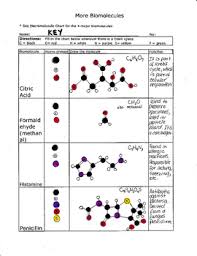 macromolecules 2 biomolecules to make and draw