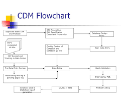 44 Rigorous Clinical Data Management Work Flow Chart