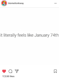 Its Been The Longest Month Of All Time Professionally And Financially Funny Quotes You Funny Words Quotes