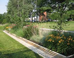 Even if your yard is filled with shade, you can still. The Grass Garden Department Of Horticulture Washington State University