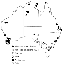 Thank you for voting us the best of the best 2020 winners in both the south and west. Responses Of Ants To Disturbance In Australia With Particular Reference To Functional Groups Hoffmann 2003 Austral Ecology Wiley Online Library