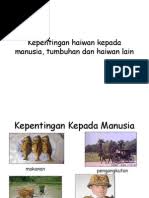 Dalam meniti arus kemodenan ini, kawasan hutan telah menjadi mangsa kerakusan manusia yang mengejar kekayaan. Kepentingan Warna Dalam Kehidupan Harian