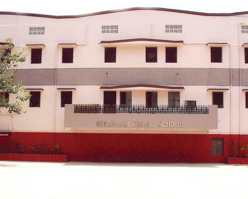 2. Senior Branch
