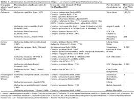 Image result for Guibourtia schliebenii