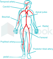 Image result for Collapsing Pulse