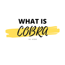 Maybe you would like to learn more about one of these? What Is Cobra In Hr Cobra Definition