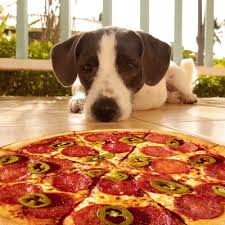 That Moment I Commit To Do A Detox Pizza Slice Pizza Gif Pizza You were too busy being distracted by the sensual slice of pizza he is holding. pizza slice