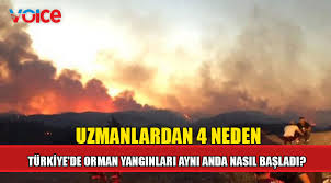 Sorumlu oldugu bolgede `olaylar olaylar'. Fnuyztd0jwx1om