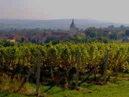 Sluncem prozářená jižní morava je významná několika světovými tradicemi, které se zrodily ve čtyřech tradičních regionech. P E T R H O R A Fotoalbum Me Cesty Za Prirodou Jizni Morava Pavlov Vinice