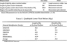 Check spelling or type a new query. Measurements In Mm Download Table