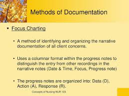 Documentation And Reporting Ppt Download