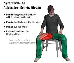 In this article how common is groin strain? How To Heal A Pulled Inner Thigh Muscle